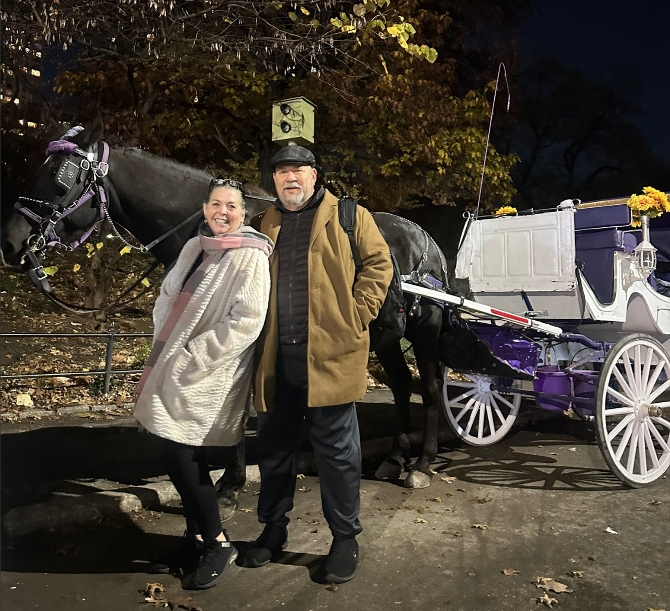 Central Carriage Daytime Rides