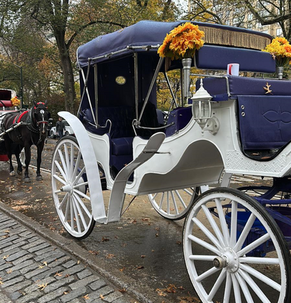 Central Carriage Daytime Rides