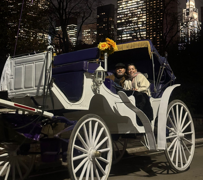 Central Carriage Daytime Rides