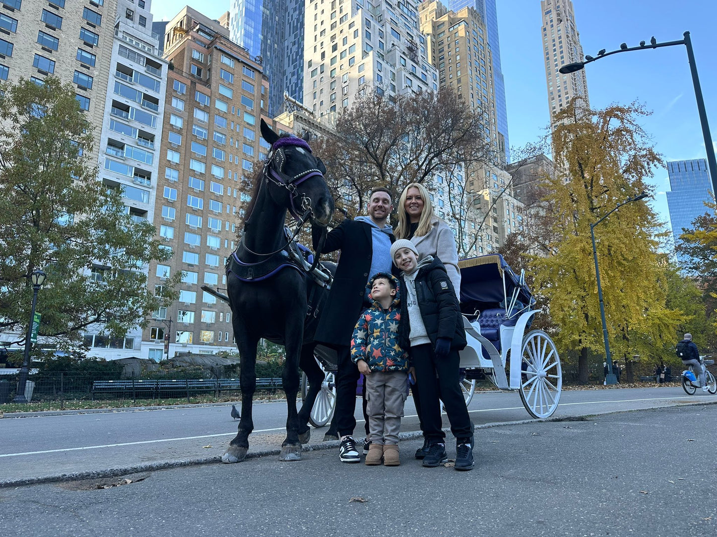 Central Carriage Daytime Rides