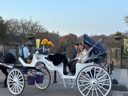 Central Carriage Daytime Rides